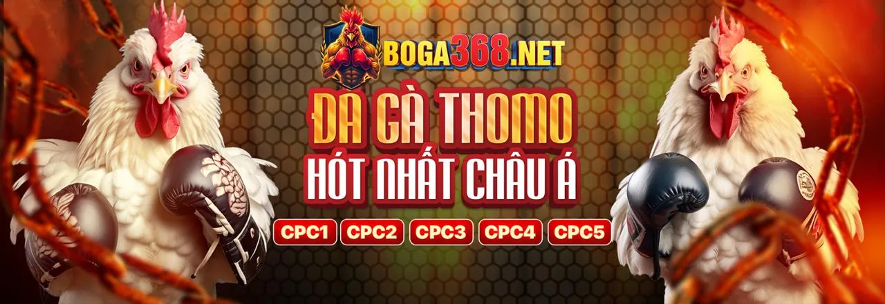 Sân đấu đá gà trực tuyến kịch tính tại sb365 trang chủ chính thức
